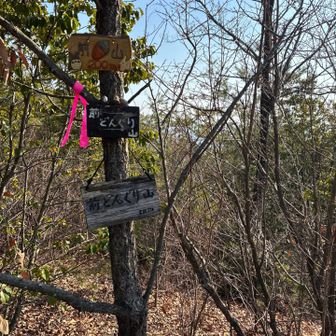 脚力が残っているうちに前どんぐり山へ。