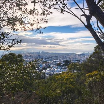 奥に芦屋浜シーサイドタウン