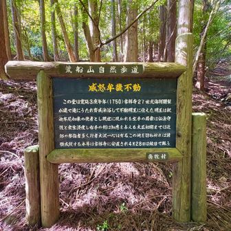 いぬむき不動
