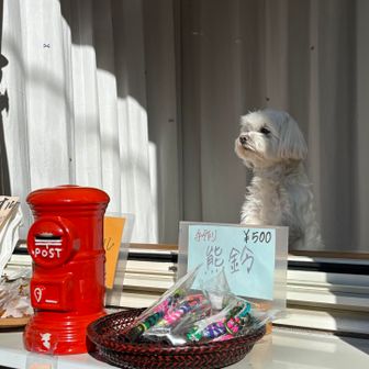 お店番をする、お利口ちゃん