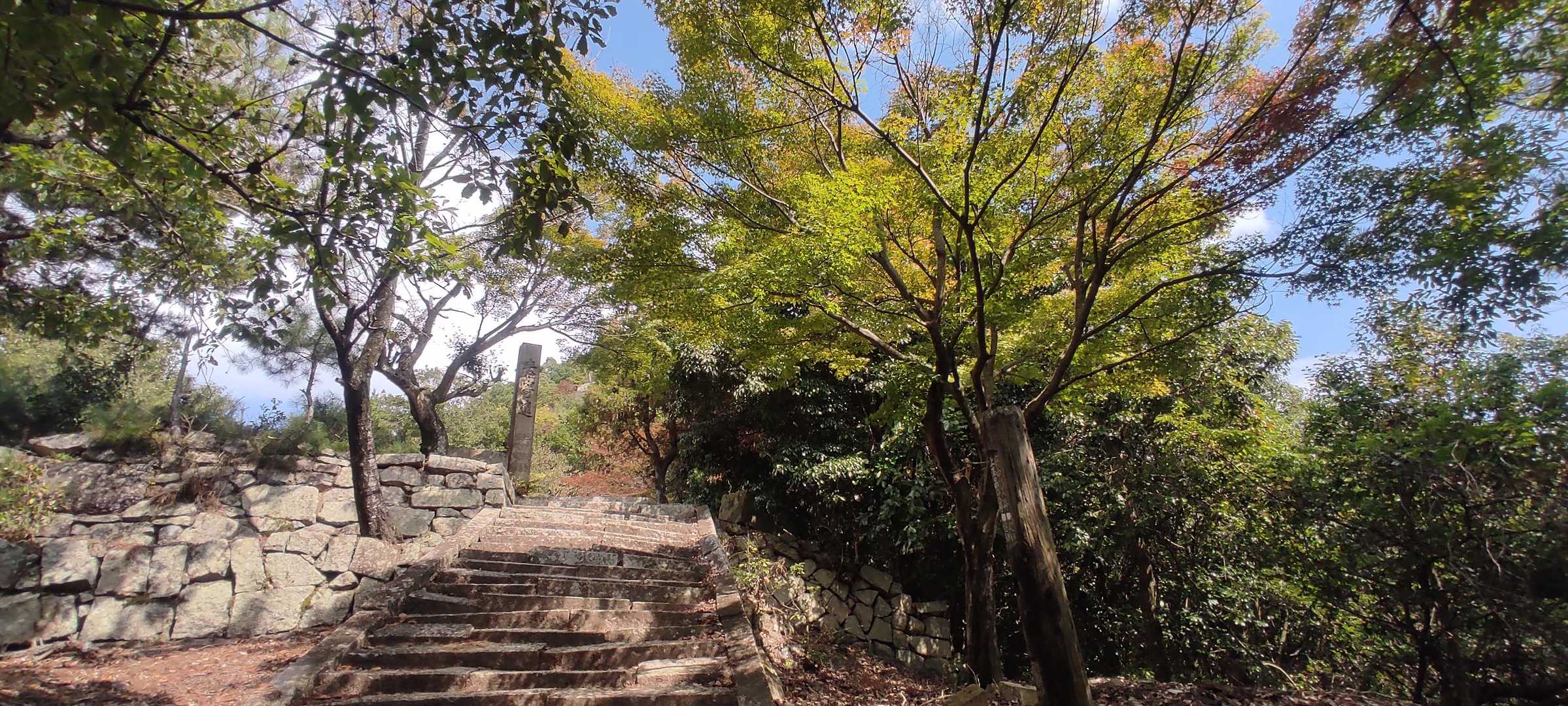 少しずつ、色づいています🍁