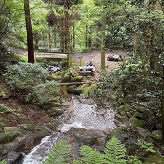 行ったことのなかった清賀の滝の左岸の上部へ