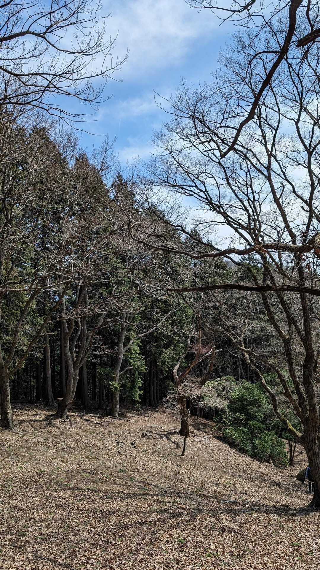 ここが山の尾根！なんて平和何でしょう