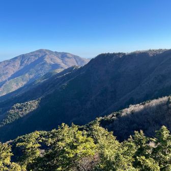 今から行くよ〜