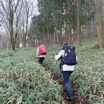 雪が溶けて、登山道はビシャビシャ💦