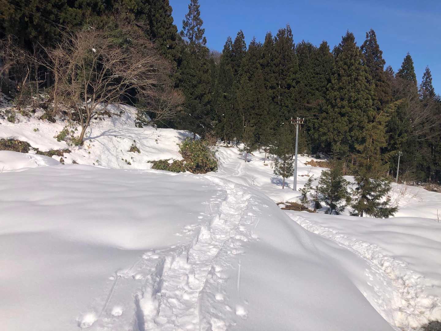 右側はほぼほぼ夏山ルート。左側は積雪期限定ルート😊行きは限定ルート。帰りは夏山ルートを忠実に守って下山👍