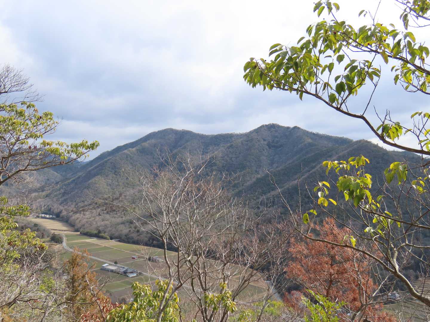 東隣に千丈寺山