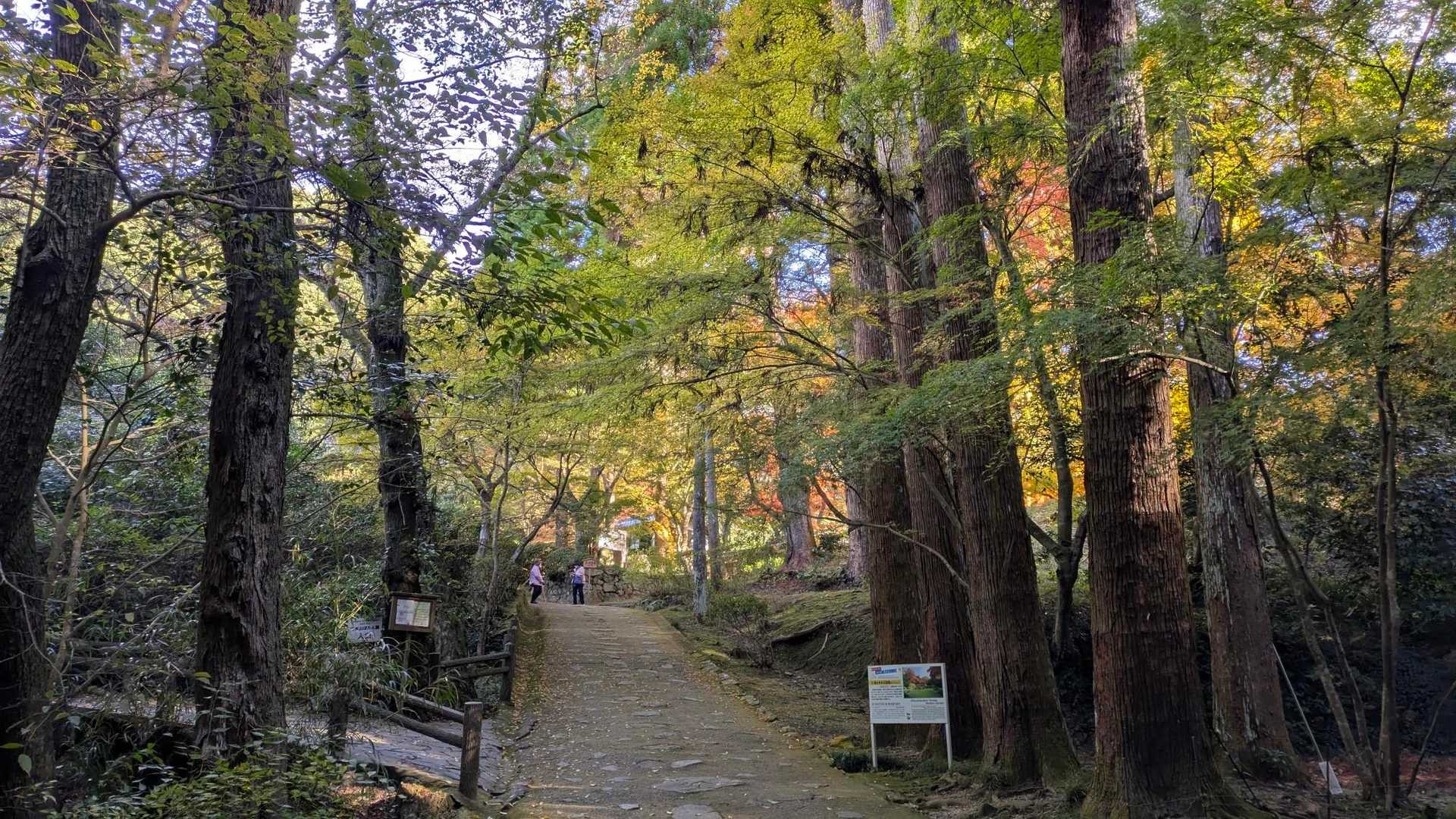 まずは本坊庭園に進みます
