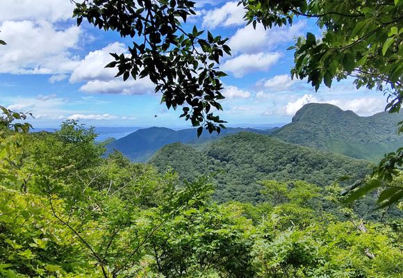 多良岳（佐賀・983m）| 登山ルート・天気 | YAMAP / ヤマップ