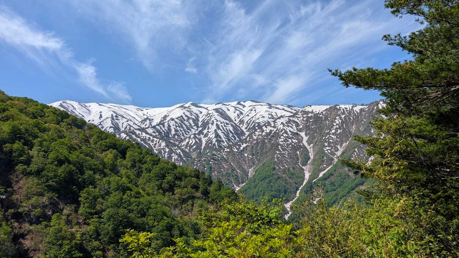 倉手山 往復コースの写真