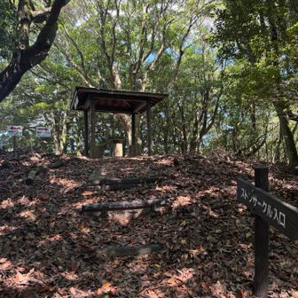 猪ノ群山へ戻ってひと休み。
東屋は風が吹き渡って凄く気持ち良いです。