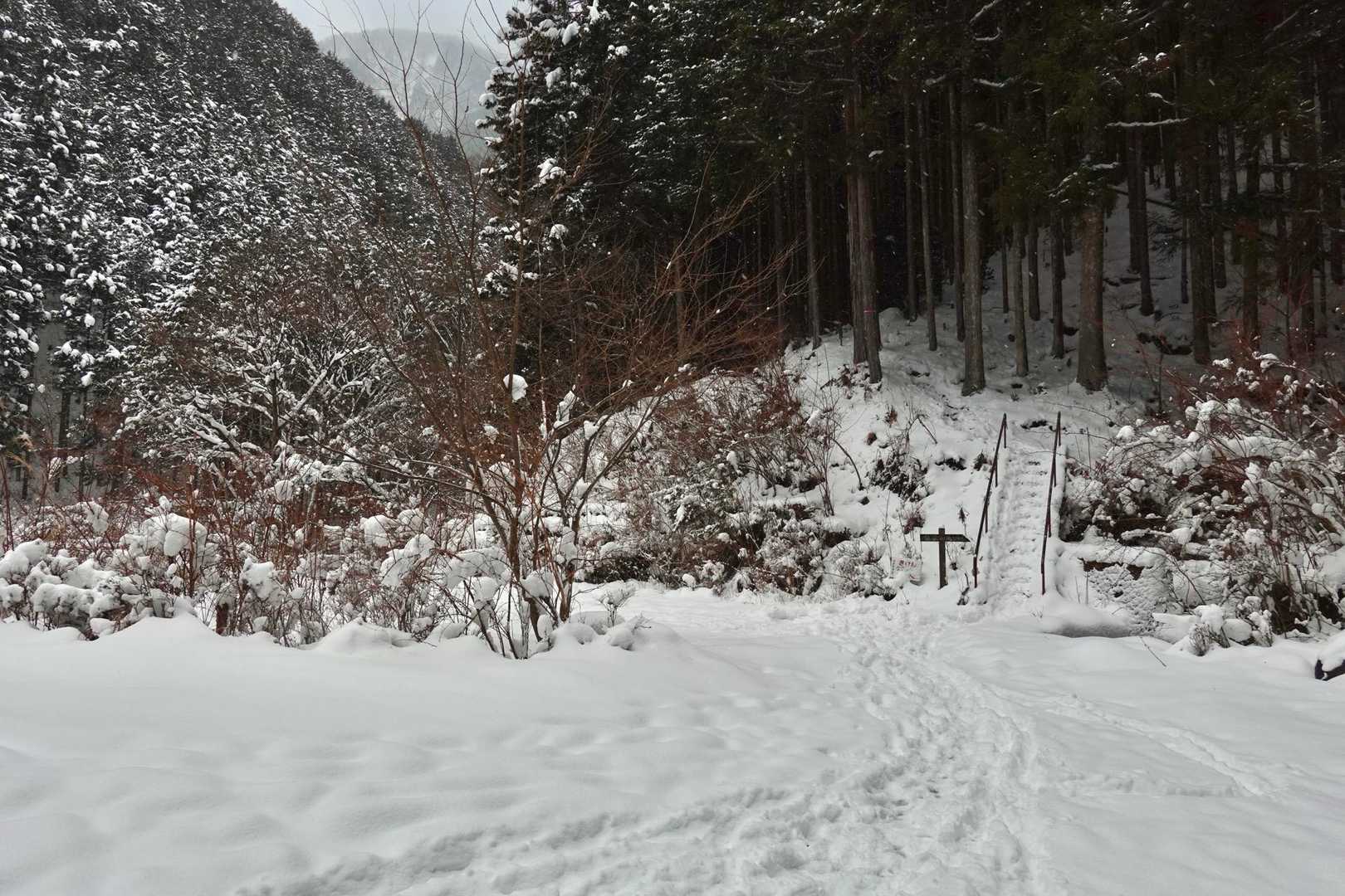 何事に駐車場へ帰って来れました
