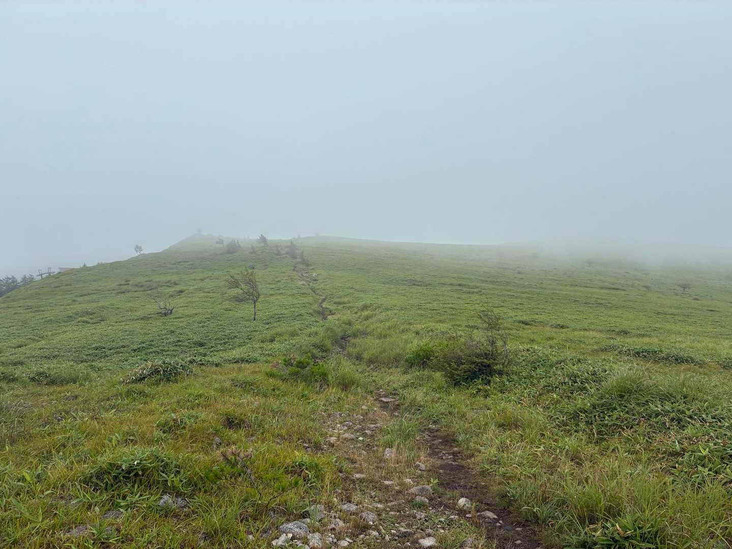 八島湿原バス停-八島湿原入口-霧ヶ峰湿原植物群落-男女倉山 周回コースの写真