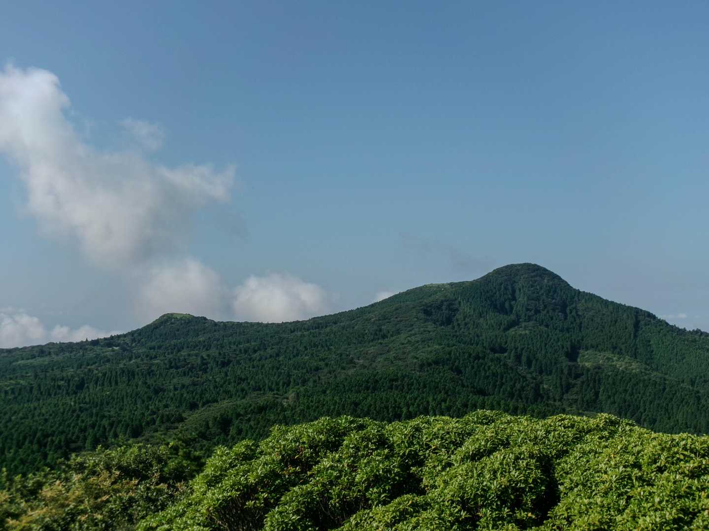 確かに鞍の形ですね。お疲れ様でした。