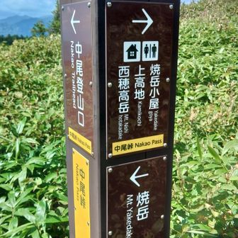 岩🪨ｿﾞｰﾝはおしまい👏
ここから
