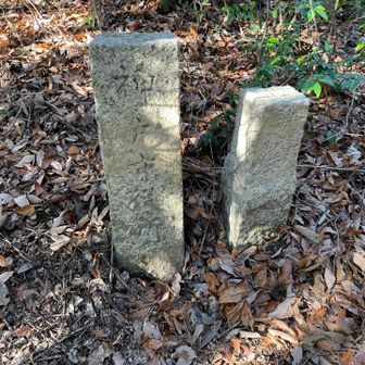 なんとかいとる？