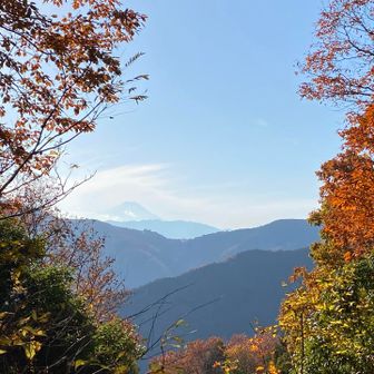 紅葉に包まれた富士山