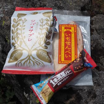とりあえず、一本満足バーでエネルギー補給

昨日会った幼馴染からもらった岐阜産のお菓子も食べよう