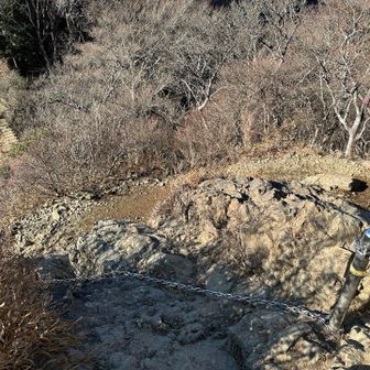 山頂直下の鎖場にゃ。さっき濡れた土でスリップしたこともあり、久しぶりの鎖場で動きがぎこちないにゃ…