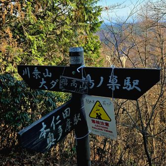 【川乗山】と【鳩ノ巣駅】の分岐に到着【瘤高山】の山標がオマケの様に下がっていました😂
