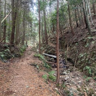 綺麗な水が流れてる