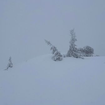 このモッコリが前嶽山頂です。
ヤマっパーでは今期一番乗りでは？🤭