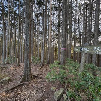 大都津路山（標高831） 通過

手前は少し急登
