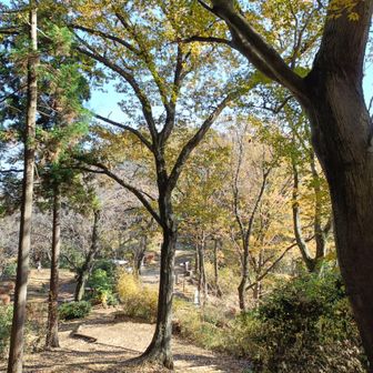 物見峠方面へ登って、順礼峠方面振り返る