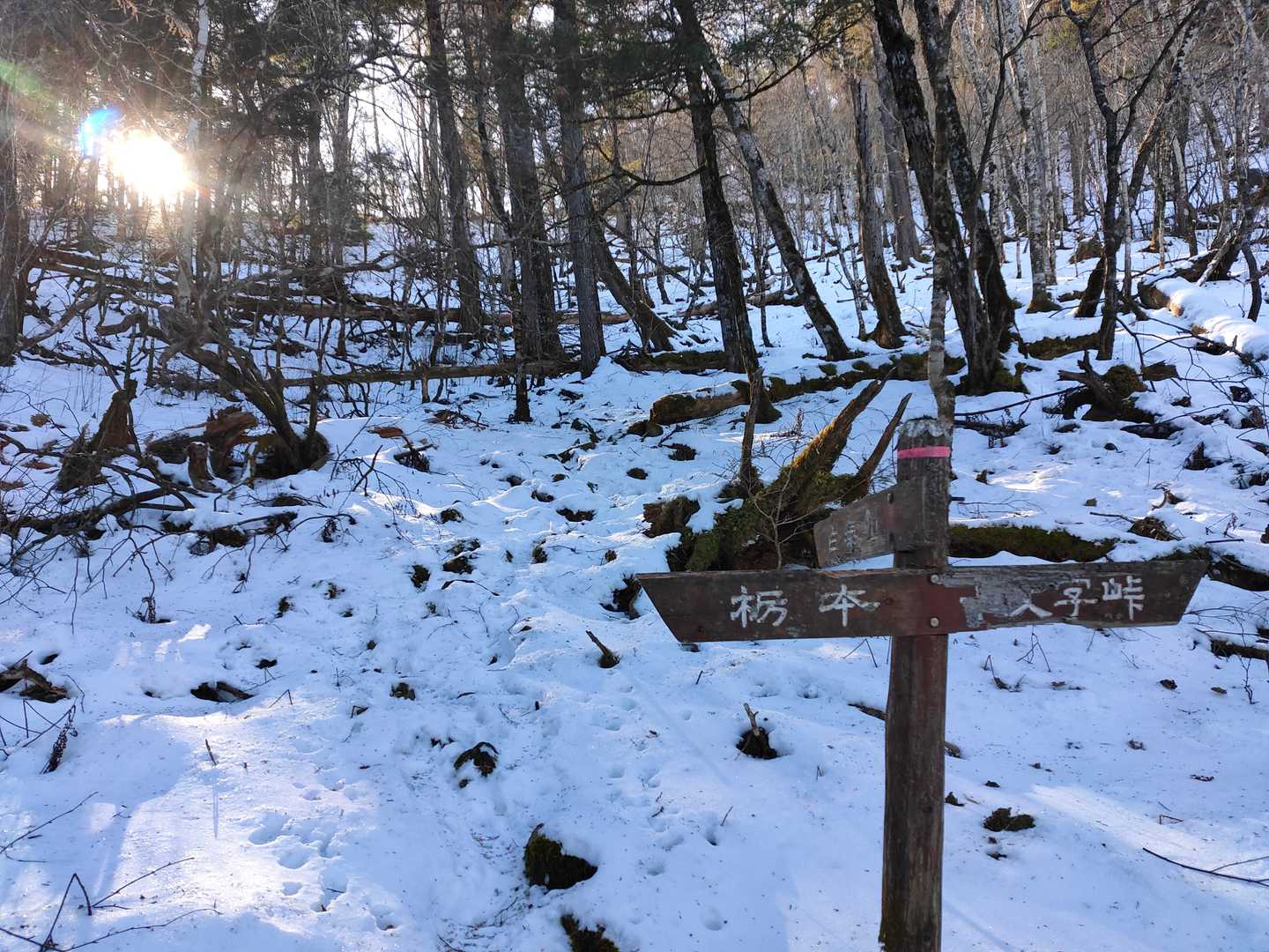 雪がかなり溶けて、前回の3分の1以下だ。前回あれだけ苦しめられたくせに、道具揃ってるから超強気。我ながら現金なもんだ。