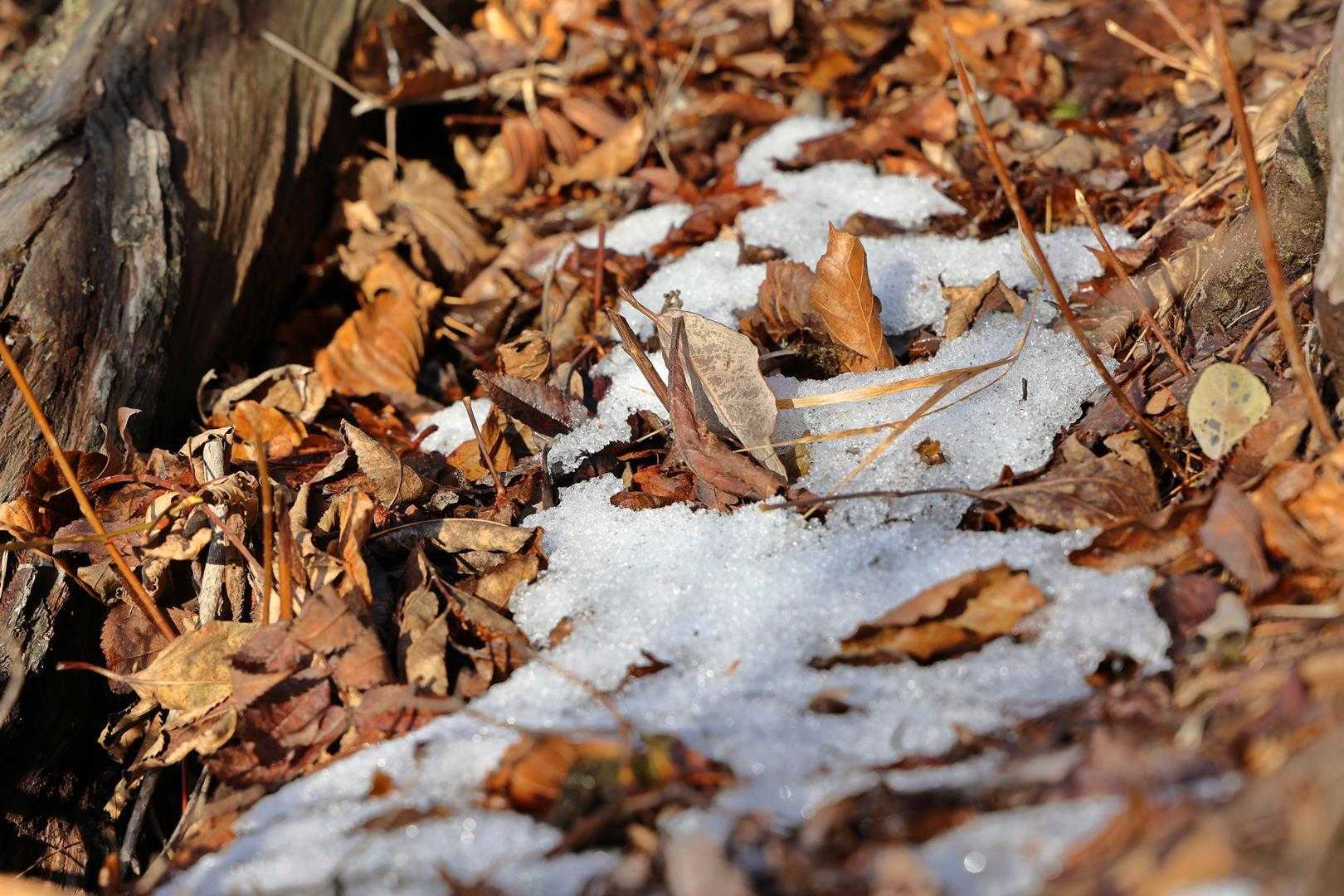 雪も残ってる