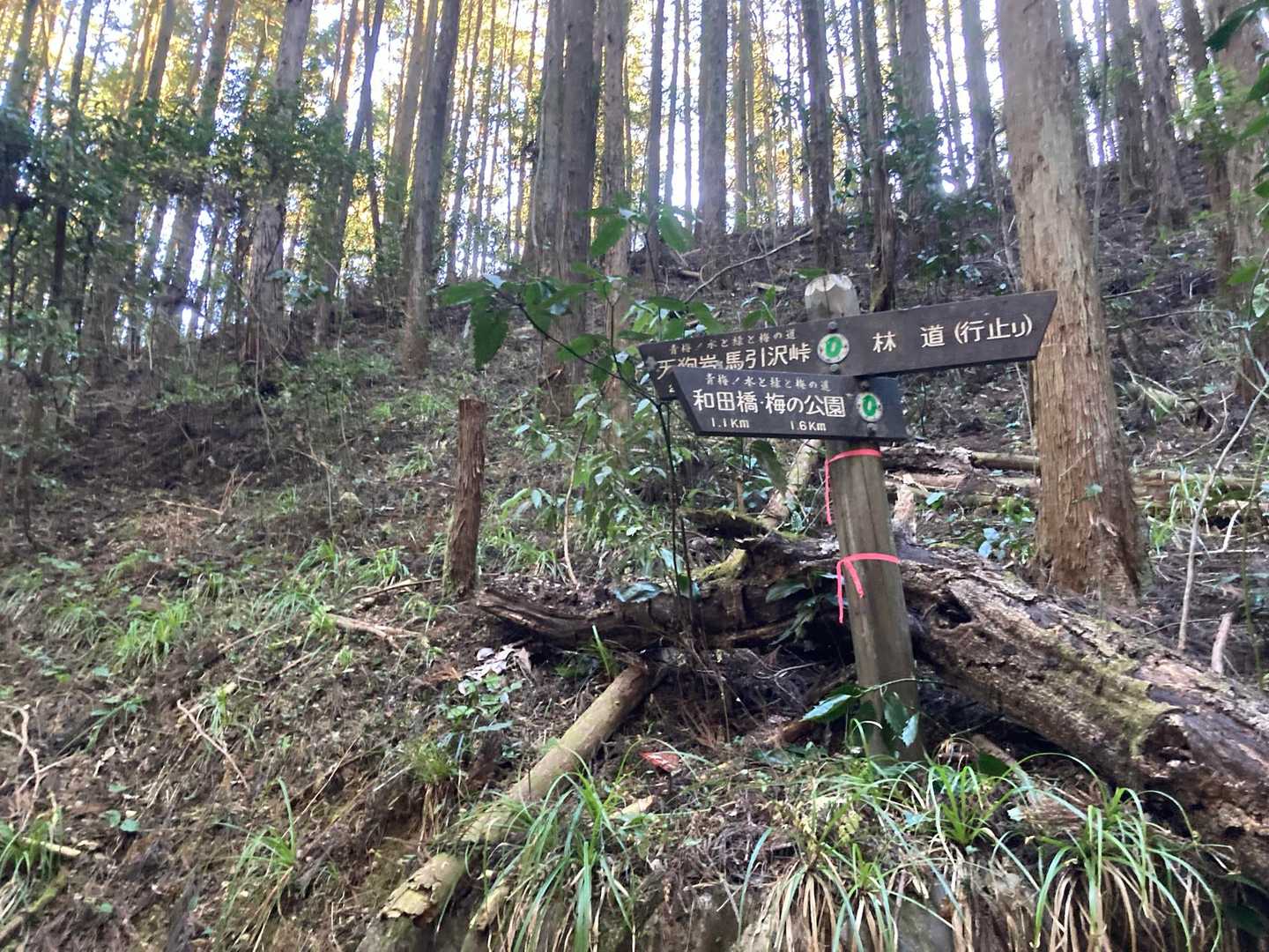 随所に看板あるけど、赤ぼっことは書いてないからいちいち確認します