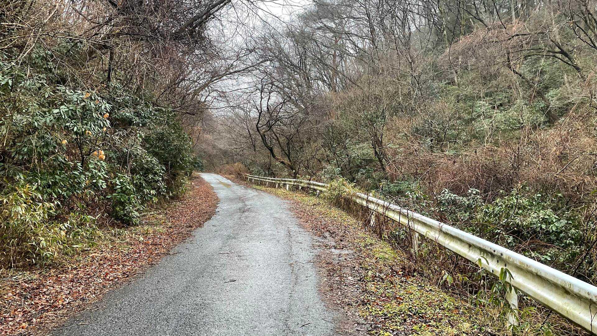 半分くらいは舗装路です。