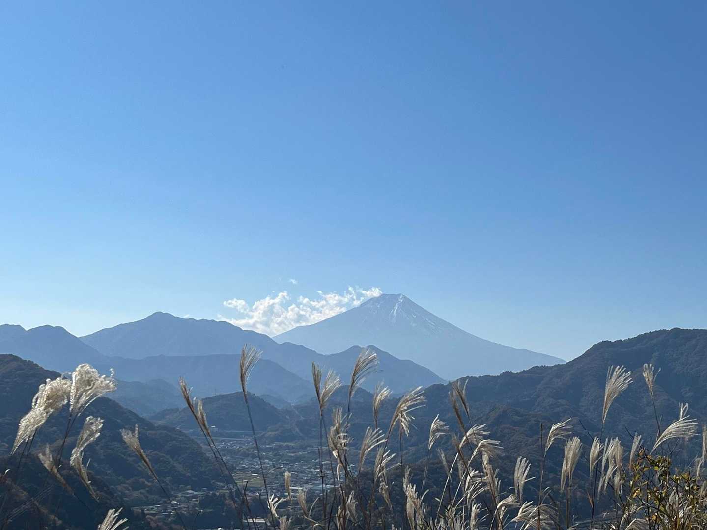 畑倉登山口-岩殿山-天神山-稚児落とし登り口-浅利公民館前 縦走コースの写真