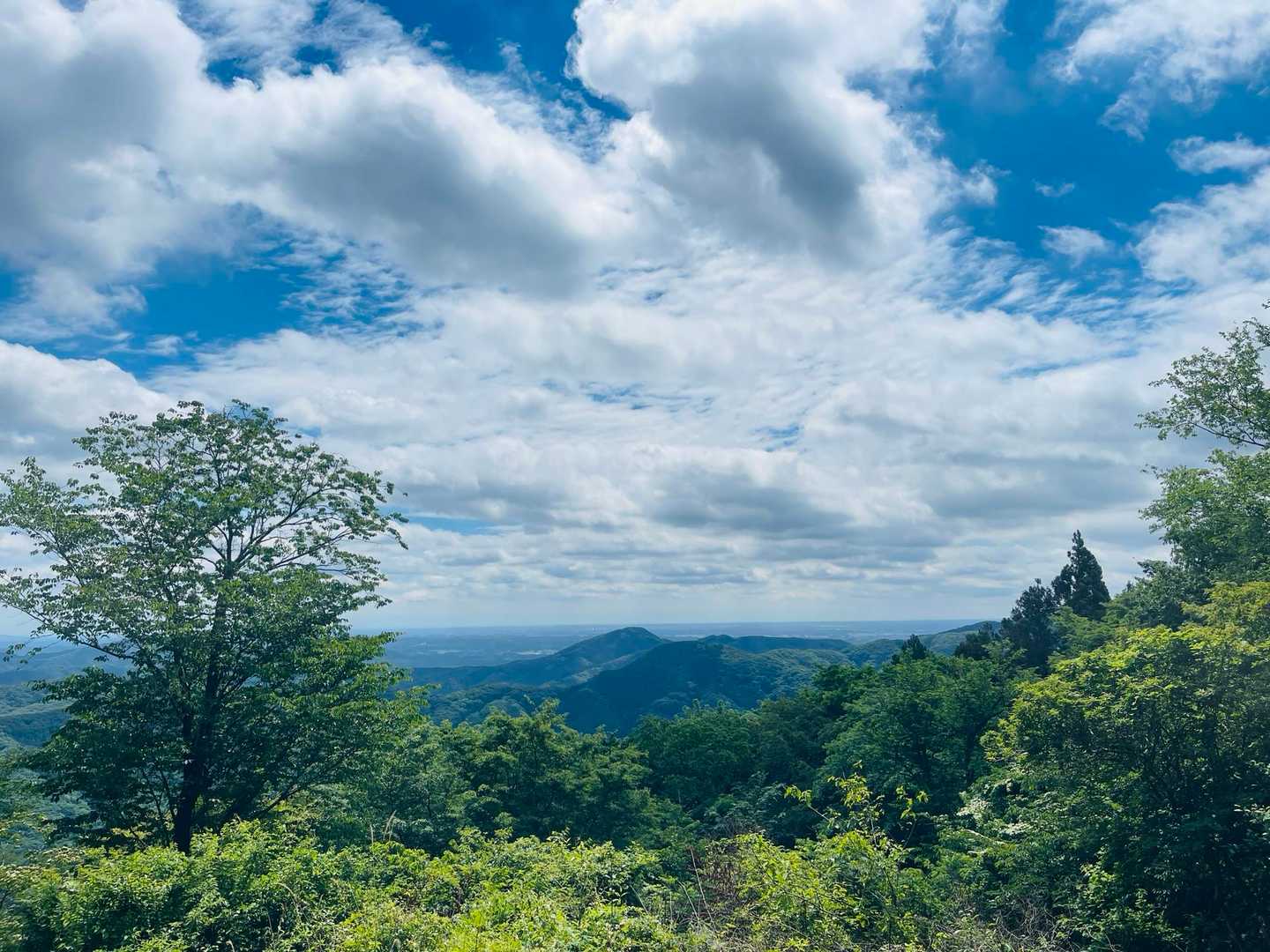大川戸登山口-雨巻山 往復コースの写真