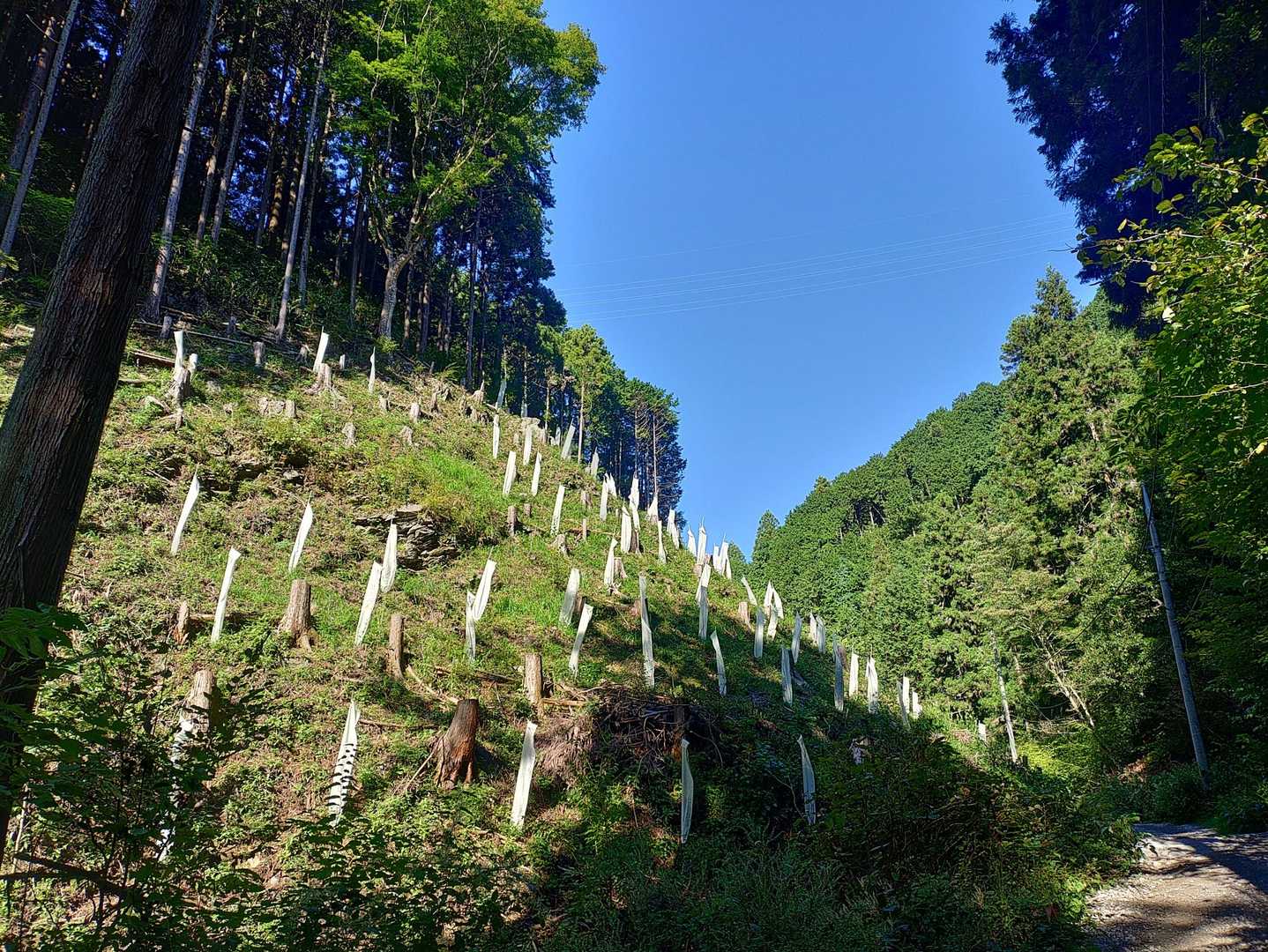 大快晴！(*´∇｀)ﾉ
でも日陰で風が吹くと涼しい(*ﾟｰﾟ)
もう少しで完全に秋になりそう(*ﾟｰﾟ)
