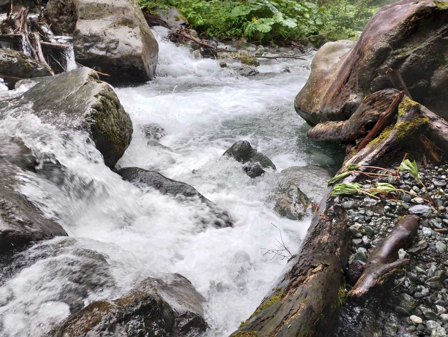 どんだけ川を見ながら
沢の流れ　轟音だ