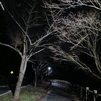 あと、ひと息です。🤭　　　　🙏🤗