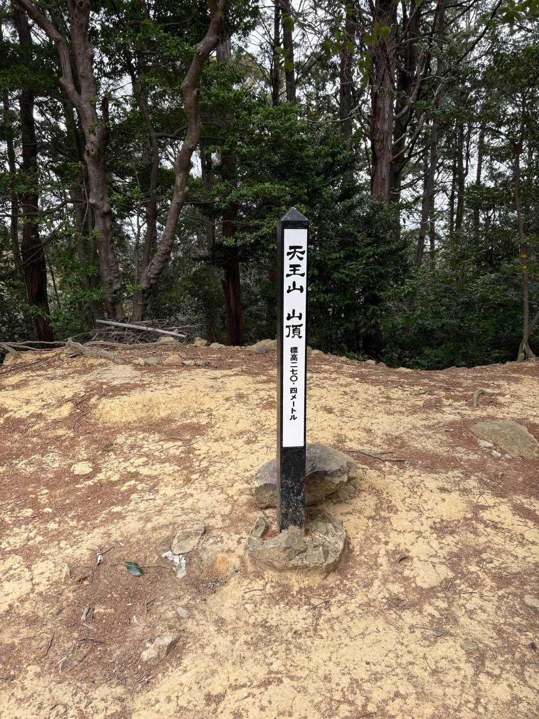 見どころ満載　面白いです