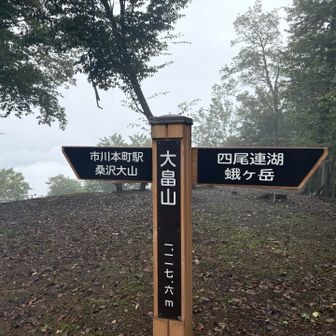 大畠山ピーク斬り🤺
🌧️こんな天候ですが2名の男女ハイカー(ひとりはバリバリのトレイルランナー)🏃‍♂️と腰にカゴを付けた🍄‍🟫きのこ採りの👵🏻方とスライドしました🤓