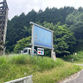 いやぁ、やっと着きました。

ここまでどれだけ足を着こうと思ったことか。。。。

ここが那岐山の西の登山口の声ヶ乢です。
「乢」って何て読むの？って？
「たわ（たお）」です。
中国地方、特に岡山で使われるようですが簡単に言うと峠のことです。
山岳用語だと「コル」とか「鞍部」ですね。
広戸仙と山形仙の中間の凹んだ部分になります。

ここを東進すると広戸仙→那岐山になります。
西進すると山形仙です。

恐れていた通り時間に押されて今回は山形仙は諦めました。

ここまでの登りにちょっと時間がかかりすぎですね。
練習が必要です。
