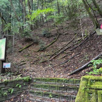 まずは三枚石を目指して🚶