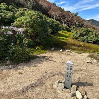 峠がしっかりしてる気がする