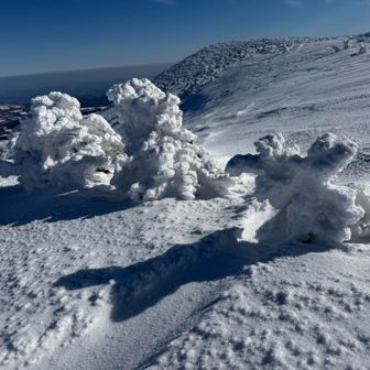 これもまた面白い🤣