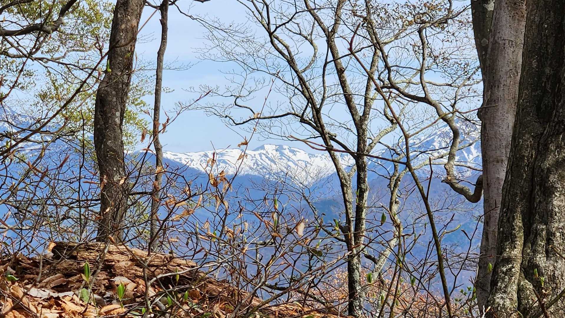 新潟方面の山々が綺麗です🏔️