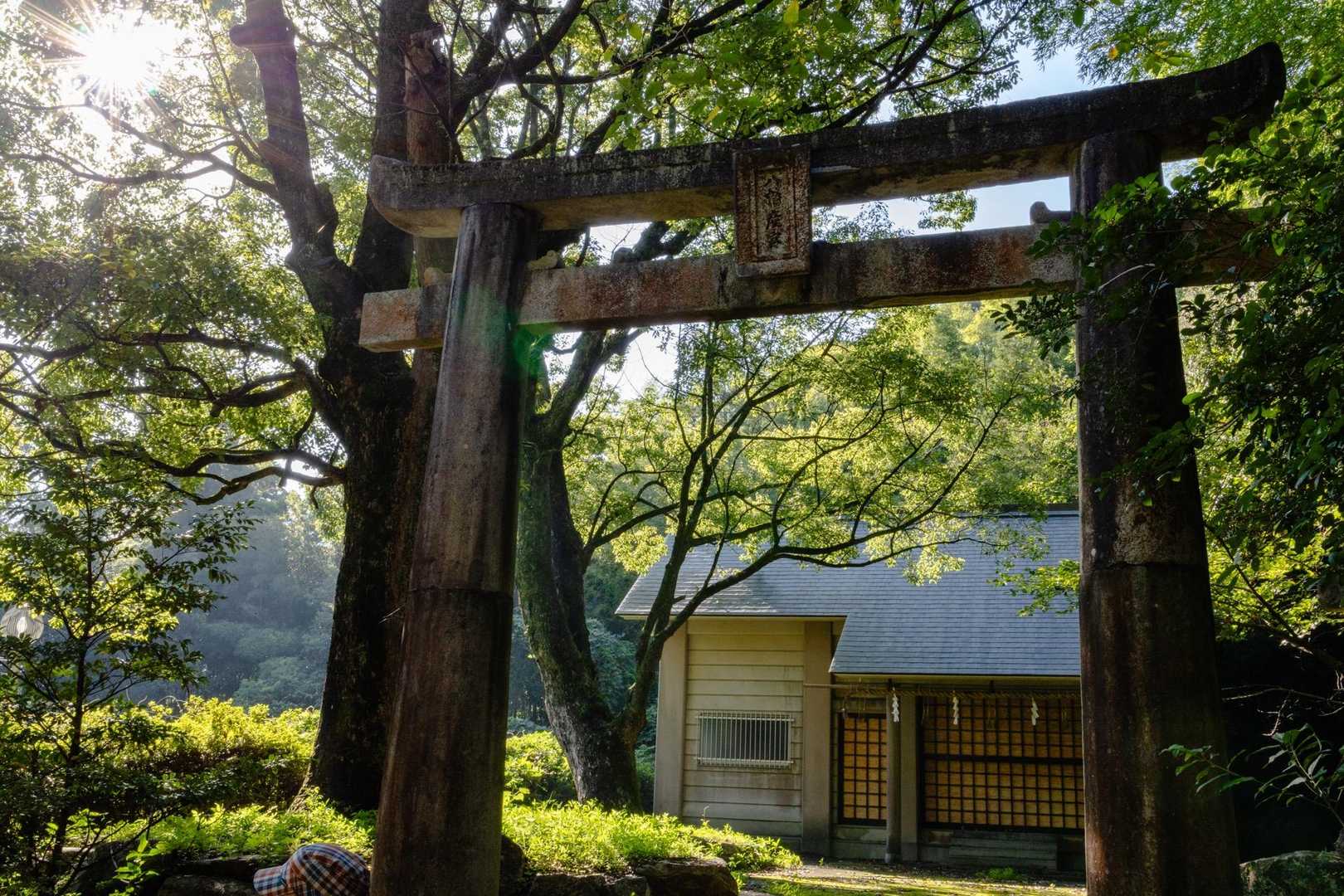 井野山 往復コースの写真