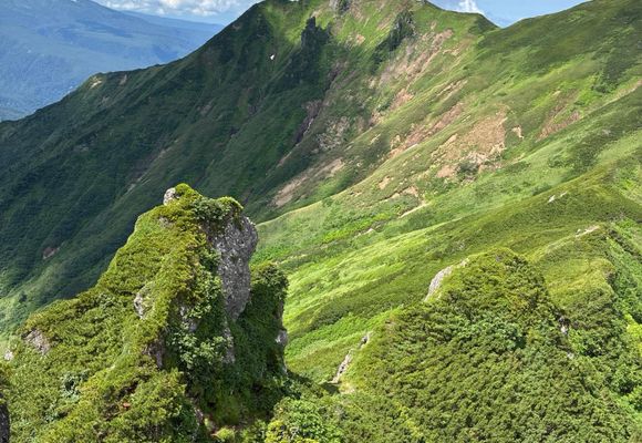 273号線側登山口～ニセイカウシュッペ山（往復） / しみまんの登山