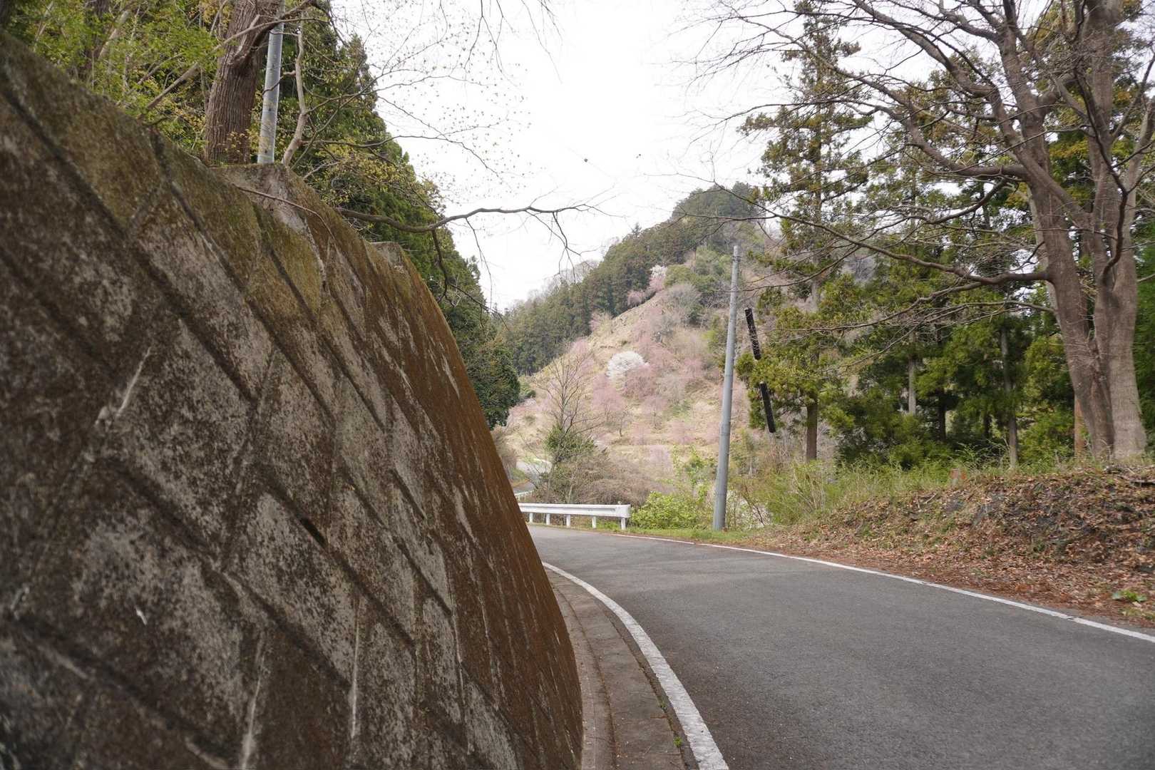 カーブを曲がったら子王山が見えてきた！
桃源郷はもうすぐ😆