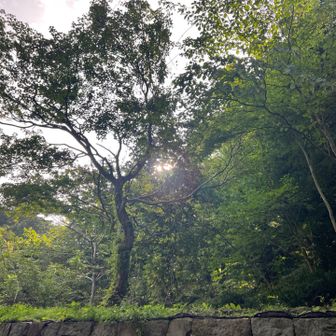 良い天気🌞😊🌞