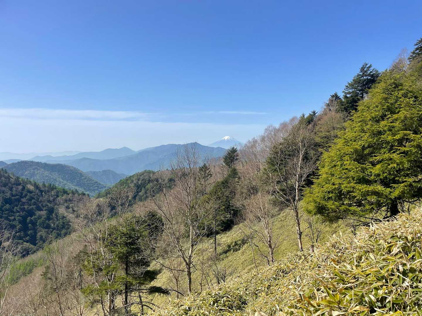お富士も
