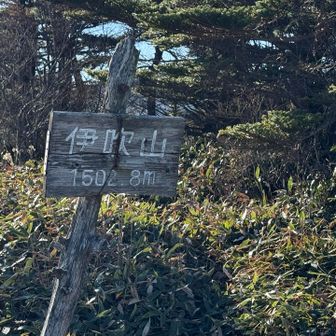 伊吹山⛰️
瓶ヶ森で数人会ってから縦走路は誰もいない✨